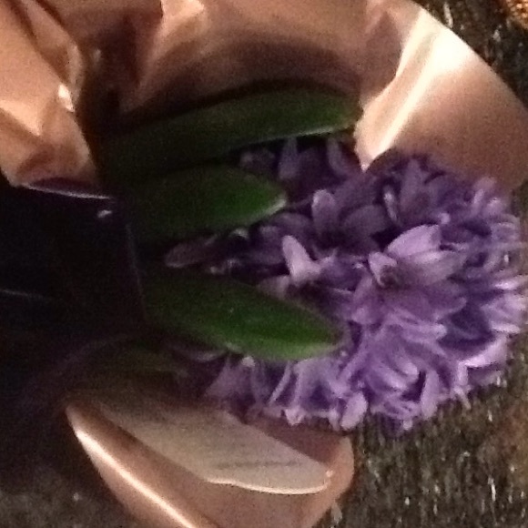 Meet your Posher, GG - Picture 1 of 1